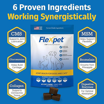 Hip & Joint Supplement for Dogs & Cats with Cetyl Myristoleate, Glucosamine, Collagen, MSM - Max Strength Joint Support for Mobility, Senior Pets, Large Breeds - Trial Pack (Bacon/Cheese)