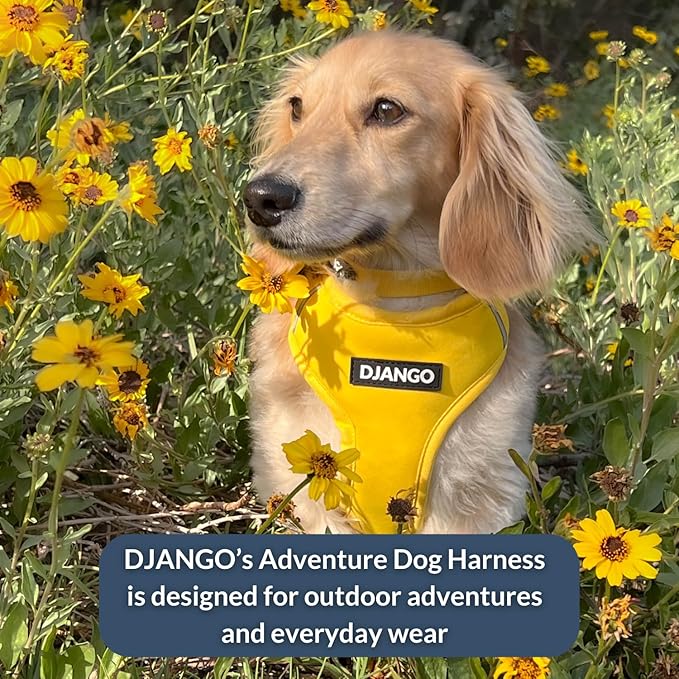 DJANGO Adventure Dog Harness - Stylish Medium Dog Harness for Outdoor Adventures and Everyday Wear - Dandelion Yellow Neoprene Adjustable Harness for Dogs with Reflective Piping and Solid Brass D-ring