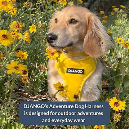 DJANGO Adventure Dog Harness - Stylish Small Dog Harness for Outdoor Adventures and Everyday Wear - Dandelion Yellow Neoprene Adjustable Harness for Dogs with Reflective Piping and Solid Brass D-Ring