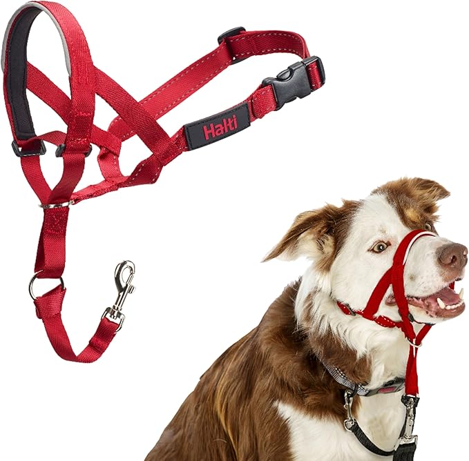 Halti Headcollar - Stop Your Dog Pulling on The Leash. Adjustable, Reflective and Lightweight, with Padded Nose Band. Dog Training Anti-Pull Collar for Medium Dogs (Size 2, Red)