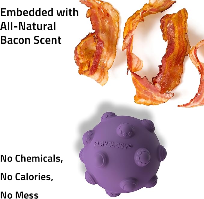 Playology Puppy Teething Ball Dog Toy for Young & Active Dogs | Engaging All-Natural Bacon Scented Chew Toy for Puppies