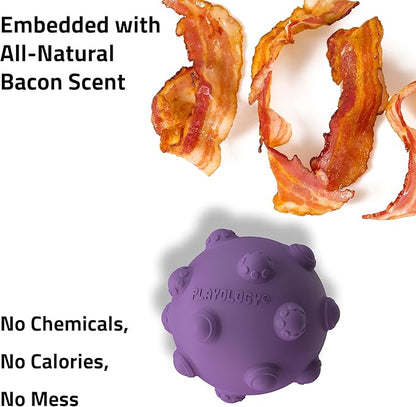 Playology Puppy Teething Ball Dog Toy for Young & Active Dogs | Engaging All-Natural Bacon Scented Chew Toy for Puppies