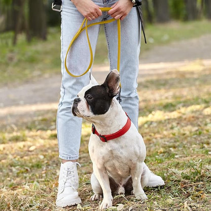 Dogline Biothane Waterproof Dog Leash Strong Coated Nylon Webbing with Black Hardware Odor-Proof Easy to Clean High Performance for Small or Large Dogs Made in USA 4 or 6 ft Lead, Treasure Gold