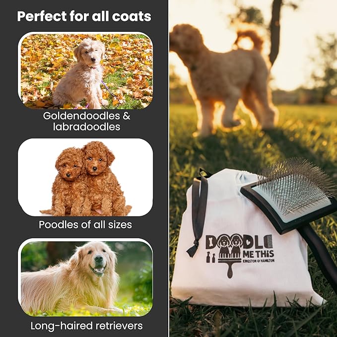 DOODLE ME THIS KINGSTON AND HAMILTON Slicker Brush for Dogs Kit Includes Comb Treat Pouch Bag and Guide Turns Stressful Grooming into bonding While Gently detangles matted Curly Wavy Coats.