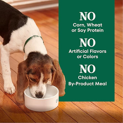 Nutro Natural Choice Large Breed Puppy Food Dry, Chicken & Brown Rice Recipe, 13 lb. Bag