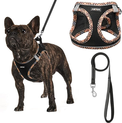 AMTOR Small Dog Harness with Leash Set, No Escape Easy Walk Puppy Harnesses for Training Walking, Step-in Reflective Soft Dogs Vest for XS S Medium Extra-Small Large Sized Dog(BlackYellow,S)