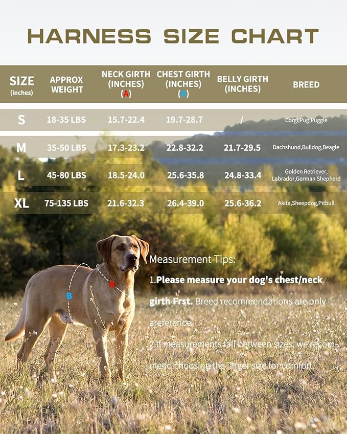 Tactical Dog Harness Medium Sized, Heavy Duty No Pull Dog Harness with Handle, Easy On and Off Service Dog Vest with Molle System, Reflective Pet Vest for Walking Hiking Training