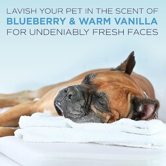 TropiClean SPA Tear Stain Remover for Dogs | Blueberry Facial Shampoo| Odor Eliminator | Tearless | Whitening and Brightening | Made in USA | 2.5 Gallon