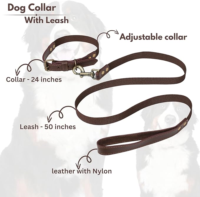 Lightnpro Heavy-Duty Dog Collar & Leash Set - 24" Adjustable Nylon Collar (Coffee Brown) with Secure Metal Buckle & Matching Leash - Durable Walking & Training Gear for Medium & Large Breeds