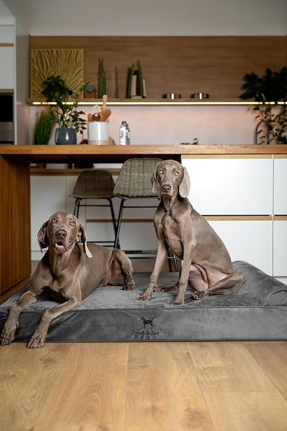 NOAH & PAW Giant Dog Bed XXL 55x45x9.5 Inch, Orthopedic Dog Beds, Eggshell Memory Foam Infused with Cooling Gel, Waterproof, Machine Washable, Includes Inner Cover (Velvet Collection)