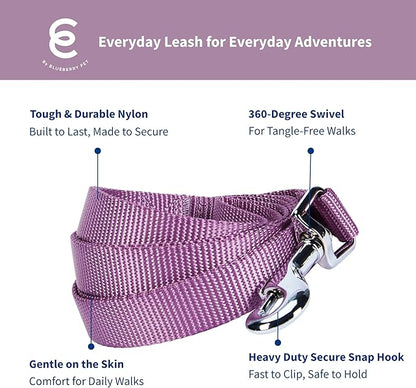 Blueberry Pet Essentials Purple Dog Leash for Medium - 5' * 3/4" Dogs | Heavy Duty Nylon Lead | Lightweight Puppy & Cat Leash for Walking & Training