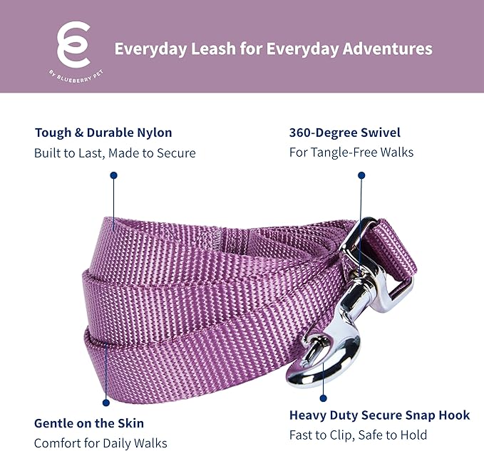 Blueberry Pet Essentials Purple Dog Leash for Small -5' * 5/8" Dogs | Heavy Duty Nylon Lead | Lightweight Puppy & Cat Leash for Walking & Training
