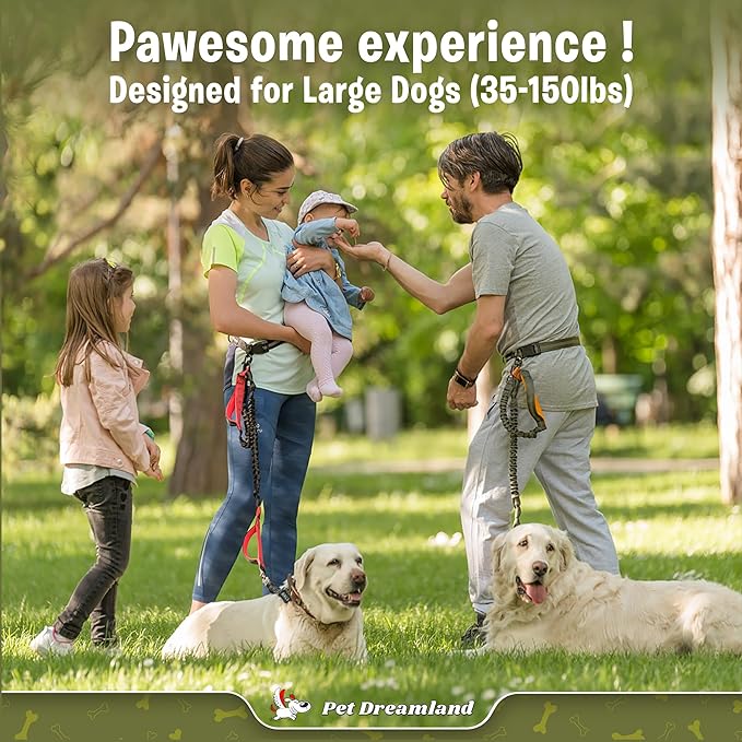 Pet Dreamland Exquisite Hands Free Dog Leash for Large Dogs. Ultimate Comfort & Freedom for Running, Walking, Hiking. Premium Quality, Durable & Versatile Waist Leash. Your Dog Will Love It.