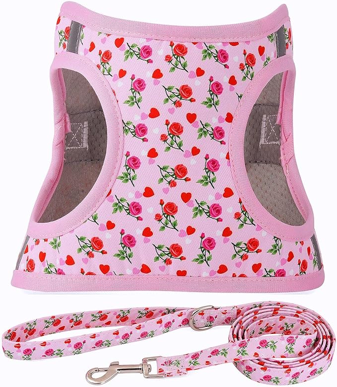 Moonpet Step in Valentine's Day Dog Harness Leash Set- All Weather Reflective No-Pull Floral Pattern Padded Mesh Vest Harness for Cats Puppy Extra-Small Small Medium Large Dogs - Heart Rose - XS