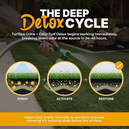 TurfSpa Urine & Odor Turf Detox: Mango 32 oz Sprayer & Gallon Refill Professional Enzyme Cleaner & Odor Eliminator for Artificial Grass, Turf, Concrete, Patios, Enzymatic Cleaner for Dogs & Cats