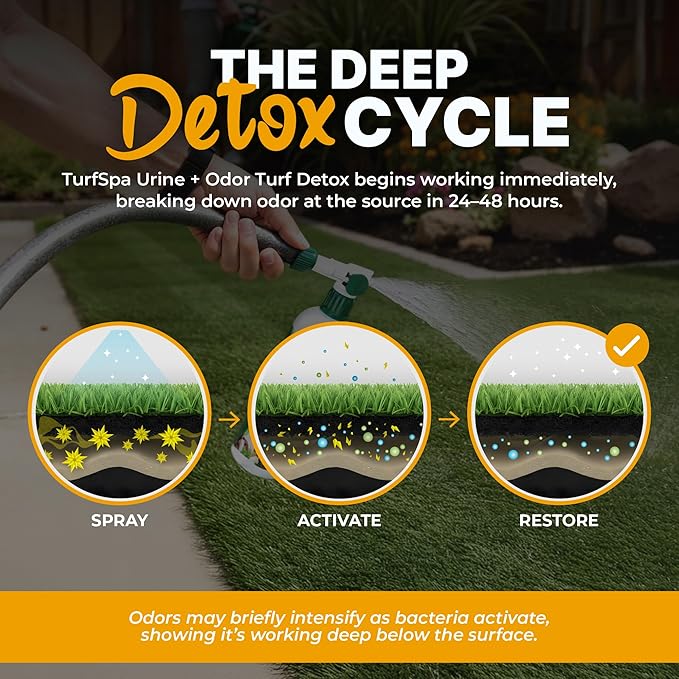 TurfSpa Urine & Odor Turf Detox: 2- Pack of Mango 32 oz Professional Enzyme Cleaner & Odor Eliminator for Artificial Grass, Turf, Concrete, Patio & Kennels, Pet Urine Enzymatic Cleaner for Dogs & Cats