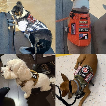 12 PCS Service Dog Patches Removable Tactical Hook Loop Harness Embroidered in Training Patch Do Not Pet Working Dog Patch for Vest Harnesses Collars Leashes