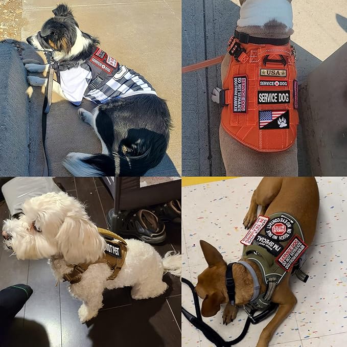 13 PCS Service Dog Patches Removable Tactical Hook Loop Harness Embroidered Do Not Pet Working Dog Patch for Vest Harnesses Collars Leashes