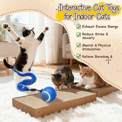 CONAMEI 1PCS Interactive Cat Toys Ball,Newly Upgraded Speedy Tail Cat Toy with USB Charging,Automatic Smart Interactive Cat Toys for Indoor Cats with 4 Tails-Blue
