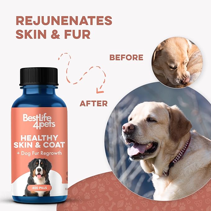 Natural Skin & Coat Supplement for Dogs, Large and Small, Dog Anti Itch Relief for Dry Skin, Rash, Allergy or Irritation, Reduces Shedding, Dandruff and Supports Dog Hair Growth, 400 Small Pills