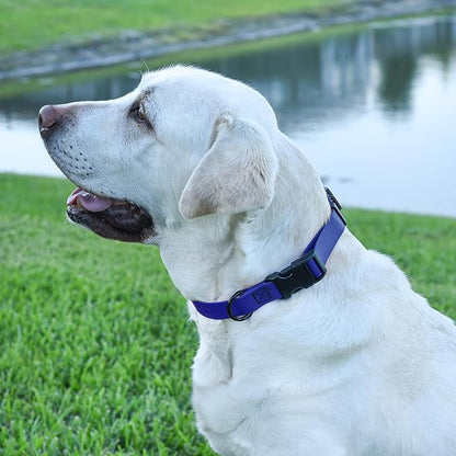 Dogline Biothane Waterproof Dog Collar with Quick Release Buckle Strong Coated Nylon Webbing with Odor- Proof for Easy Care Easy to Clean Fits Small Medium or Large Dogs, Royal Blue 1" W 15-23" L