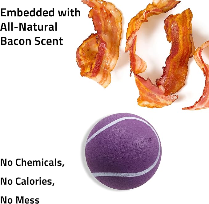 Playology Dog Toys | Squeaky Chew Ball - Bouncy Durable Floating Fetch Ball for Dogs, Value 3-Pack | Small Bacon Scented Toy - Easy to Clean and Made from Non Toxic Materials
