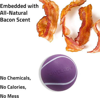 Playology Dog Toys | Squeaky Chew Ball - Bouncy Durable Floating Fetch Ball for Dogs | Medium Bacon Scented Toy - Easy to Clean and Made from Non Toxic Materials