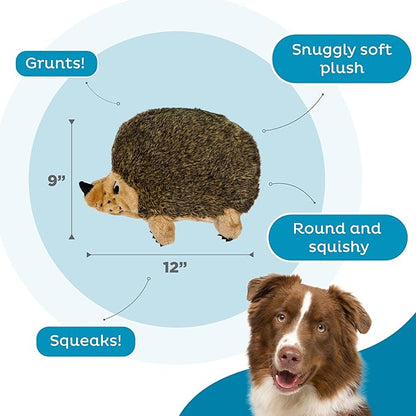 Outward Hound Hedgehogz Stuffed Dog Toy – Soft Plush Hedgehog, Grunts & Squeaks, XL, 12" x 8.5" x 9"