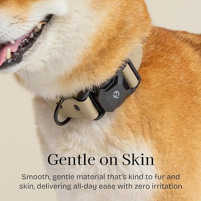 2026 New Edition, Fei & Eve PVC MagEase Dog Collar - Patented Magnetic Buckles | Fur-Safe | 450LB Escape-Proof | Adjustable Fit | Small (Champagne)