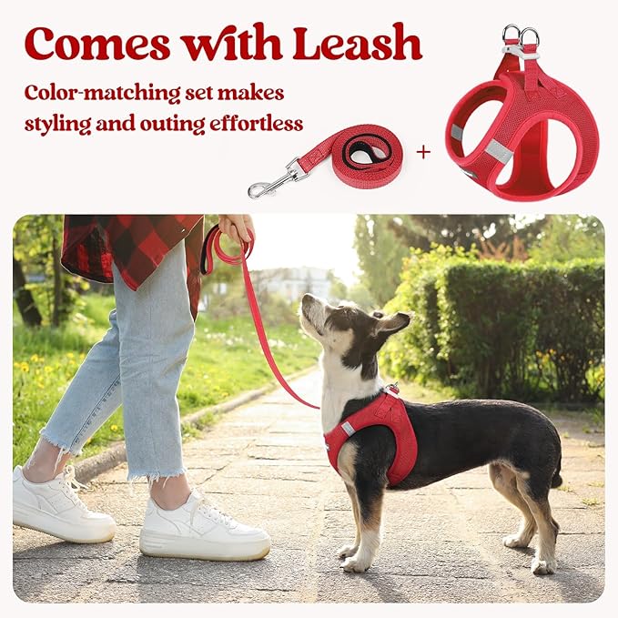 rabbitgoo Dog Harness Small Sized and Leash Set, Step in Soft Light Puppy Vest, Breathable Mesh Pet Harness, Reflective for Outdoor Safe Walking, Red XXL