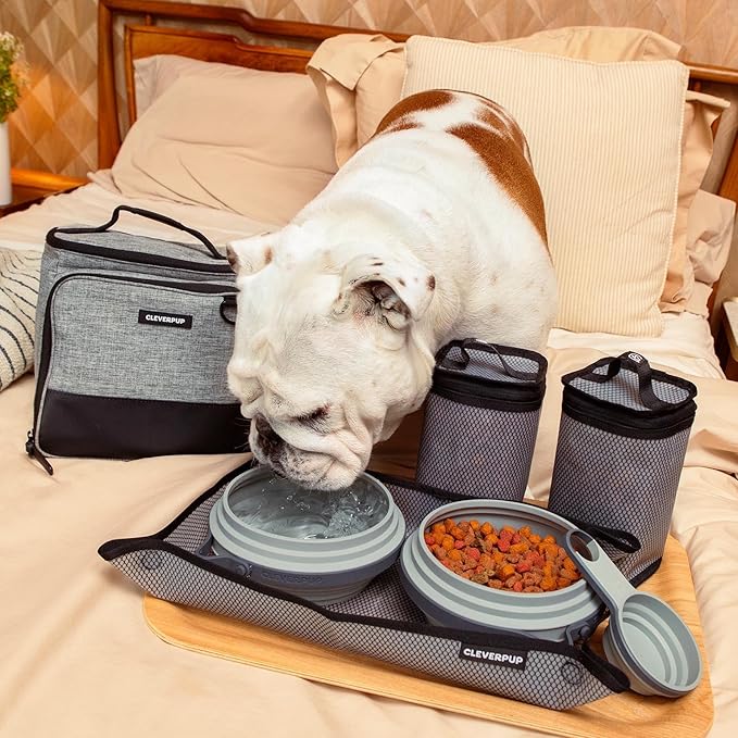 Cleverpup, Large 7-Piece Bistro Box Dog Food Travel Kit, 12-Cup Kibble Storage, 2 Silicone Bowls, Mat & Scoop - Premium Portable Pet Food Kit for Weekends, Overnights, Daycare & Camping, Heather Grey