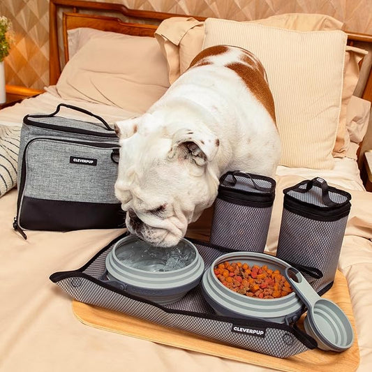 Cleverpup, Large 7-Piece Bistro Box Dog Food Travel Kit, 12-Cup Kibble Storage, 2 Silicone Bowls, Mat & Scoop - Premium Portable Pet Food Kit for Weekends, Overnights, Daycare & Camping, Heather Grey