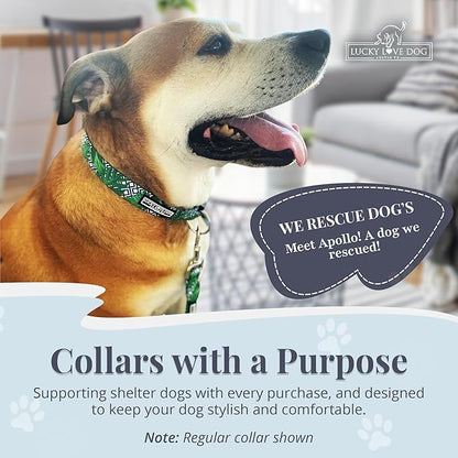 Lucky Love Dog Collar and Leash Set, Beautiful & Vivid Patterns, Easy On & Off Clasp Accessory (Blue Laguna, M Combo)