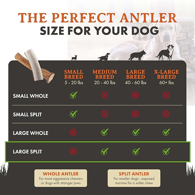 Alpha Dog Nutrition Elk Antler Chews (Large, Split)