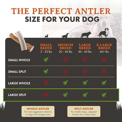 Alpha Dog Nutrition Elk Antler Chews (Large, Split)