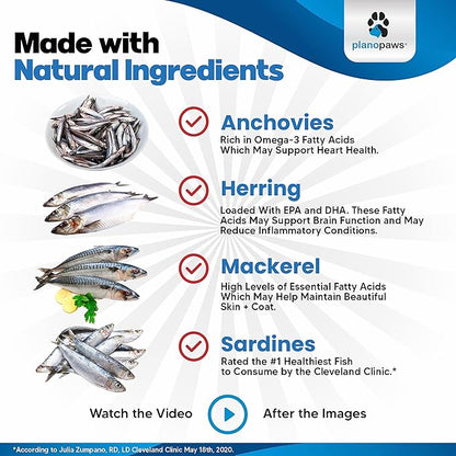 Omega 3 Fish Oil for Dogs - Better Than Salmon Oil - Dog Fish Oil Supplement to Reduce Shedding & Itching - Supports Joints, Brain, and Heart Health - Skin and Coat Supplement - Liquid Fish Oil