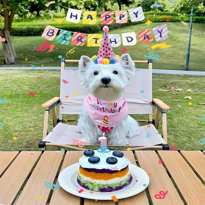 Pet Birthday Party Set with Hat and Bandana for Dogs and Cats with Star Pattern Design, Adjustable Sequin Bow tie Accessories, Pink Birthday Girl Scarf (Pink)