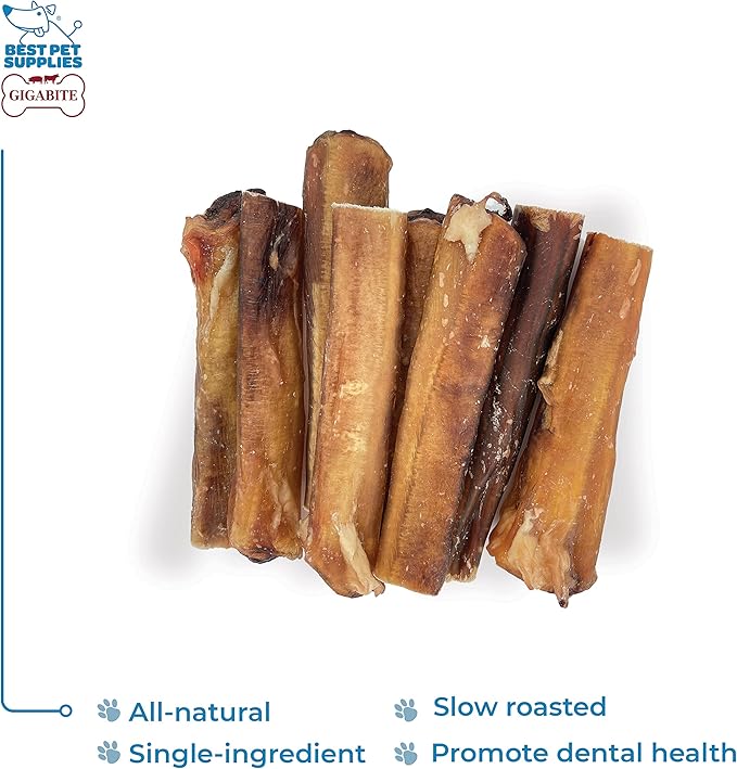 GigaBite Single Ingredient All Natural Free Range Bully Treats and Chews - Bully Sticks/Bladder Sticks/Beef Esophagus by Best Pet Supplies - Bully Sticks (Monstrous 6"), Pack of 8