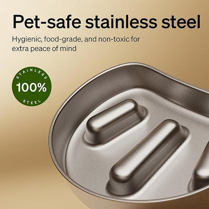 PETLIBRO Automatic Cat Feeder with Camera, Auto Pet Food Dispenser Slow Feeder Dog Bowl 1080P HD Video with Night Vision 5G WiFi Pet Feeder with 2-Way Audio, Stainless Steel Slow Food Tray