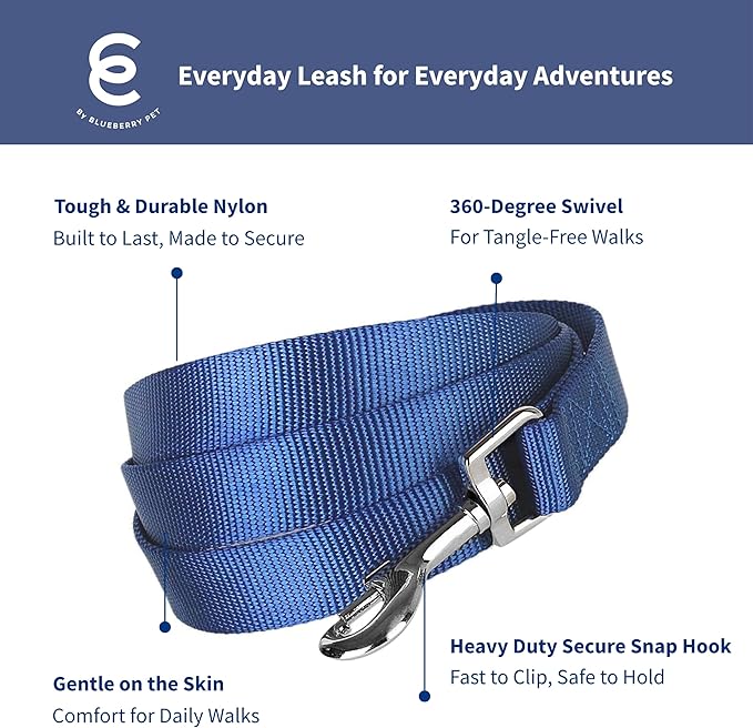Blueberry Pet Essentials Royal Blue Dog Leash for Small -5' * 5/8" Dogs | Heavy Duty Nylon Lead | Lightweight Puppy & Cat Leash for Walking & Training