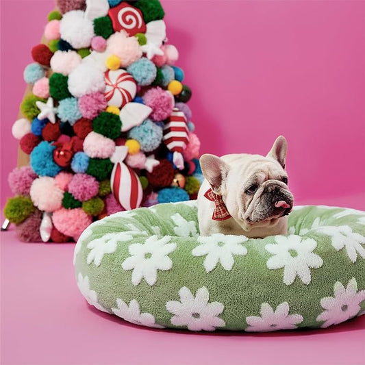 Lesure Shown on TV Donut Medium Dog Bed - Round Cat Beds Indoor Present for Calming Pets with Washable Cover, Home Decor Cute Modern Beds with Jacquard Shaggy Plush & Anti Slip Bottom, 30 Inch, Green