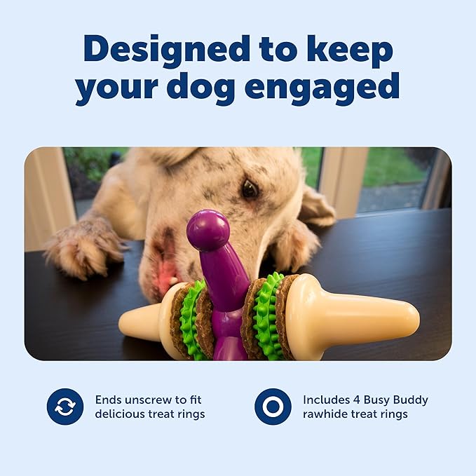 PetSafe Busy Buddy Jack - Keeps Dog Busy - Includes Treats Refill - Treat Holding Dog Toy - Helps Clean Teeth - Durable Rubber - Strong Chewers - Dishwasher Safe - Large - Purple