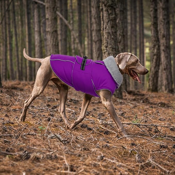 Lelepet Warm Dog Winter Coats for Large Dogs Waterproof Dog Jacket Reflective Pet Fleece Vest Windproof Cold Weather Coats with Adjustable Buckle & Leash Hole, Purple, L