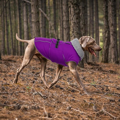 Lelepet Warm Dog Winter Coats for Large Dogs Waterproof Dog Jacket Reflective Pet Fleece Vest Windproof Cold Weather Coats with Adjustable Buckle & Leash Hole, Purple, XXL