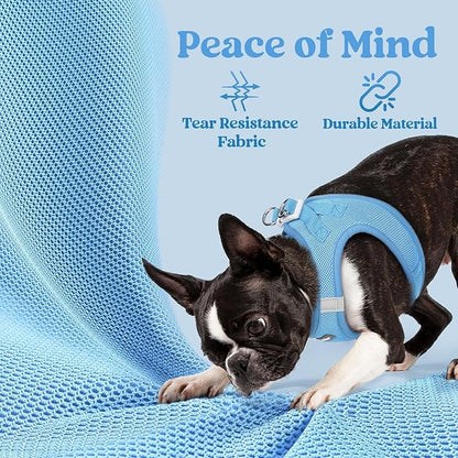 rabbitgoo Small Dog Harness, Step-in Soft Mesh Puppy Vest with Safety Buckle, Breathable Reflective Pet Harness for Small Sized Dogs, Blue M