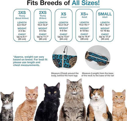 BellyGuard Cat Recovery Suit for Female and Male, Cat Surgery Suit Alternative, Onesie for After Spay Care, Post-Surgery Protective Body Cover for Feline and Kitten Healing