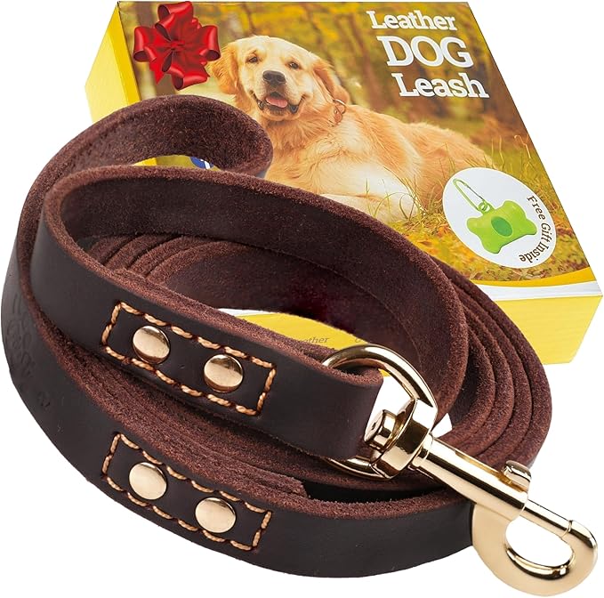 Leather Dog Leash 6 ft x 3/4 inch - Soft, Strong, Heavy Duty for Large & Medium Breeds - Dog Lead for Walking (Brown - Gold Colored Clasp, L - 6 ft x 3/4 inch)