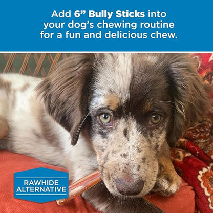 Best Bully Sticks 6 Inch Bully Sticks for Dogs - 50 Count (Pack of 1) - Natural, Easily Digestible, 100% Grass-Fed Beef, Grain and Rawhide Free