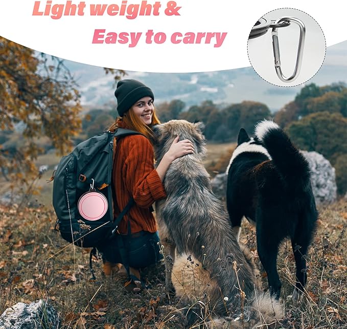 Large Dog Bowl Pet Collapsible Bowls, 2 Pack Collapsible Dog Water Bowls for Cat Dogs Portable Pet Feeding Water Dish for Walking Parking Traveling with 2 Carabiners (Large, Fairy pink & Sprout Green)