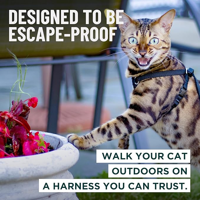 Houdini™ Escape Proof Kitten Harness and Leash Set by OutdoorBengal – Orange, Small Cat Harness for Walking